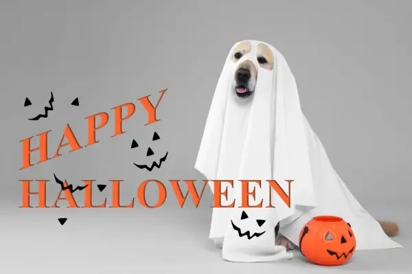 Happy Halloween from Clear Mortgage Lending Inc